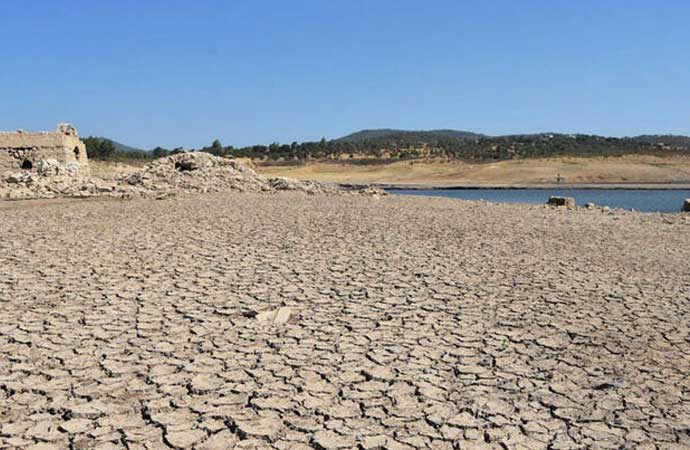 Whatsapp Image 2025 04 30 At 13.16.22