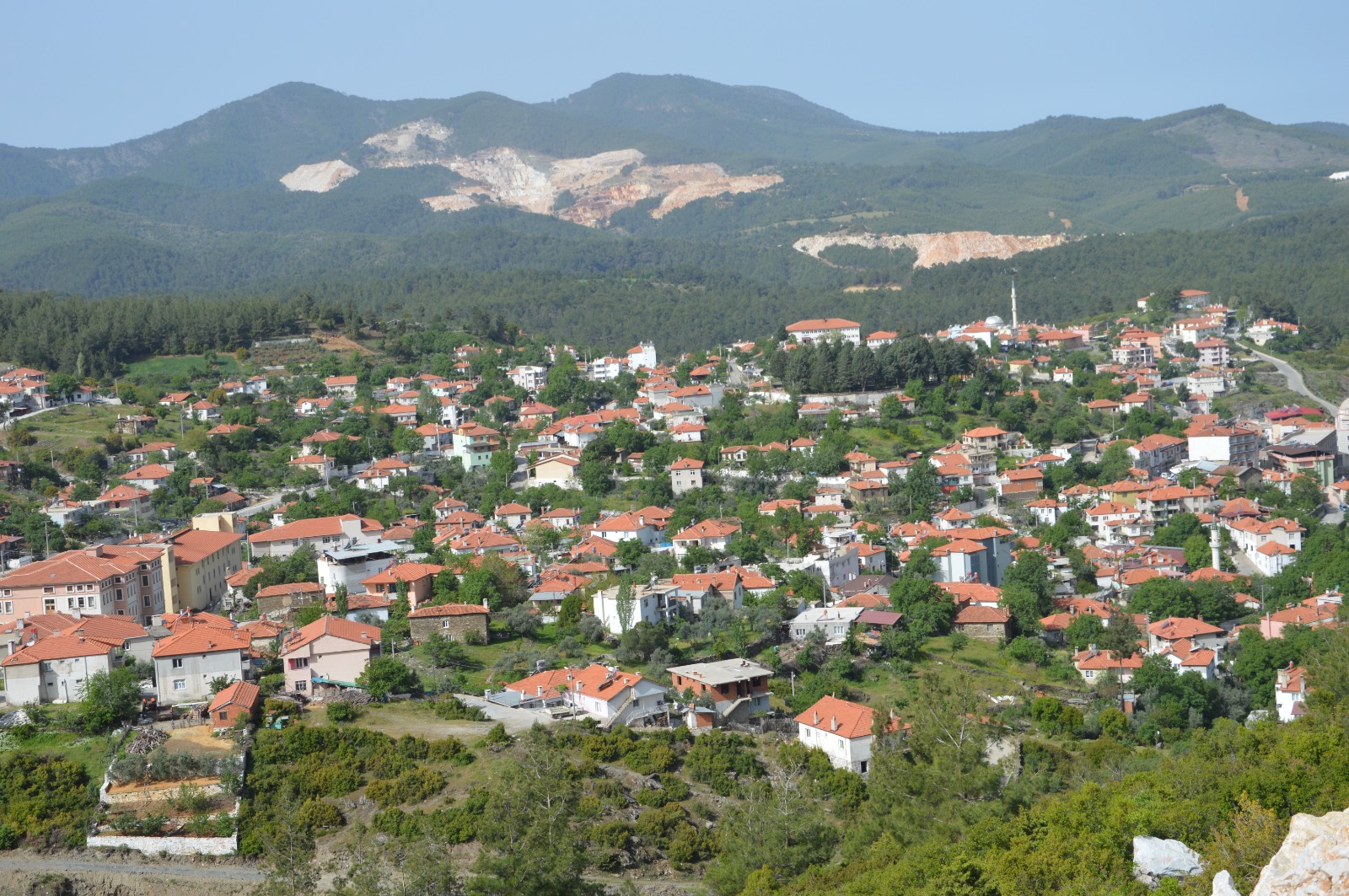 0Ac31D74 7B23 4E02 8C75 C7Acf8Ba9A1E (1)