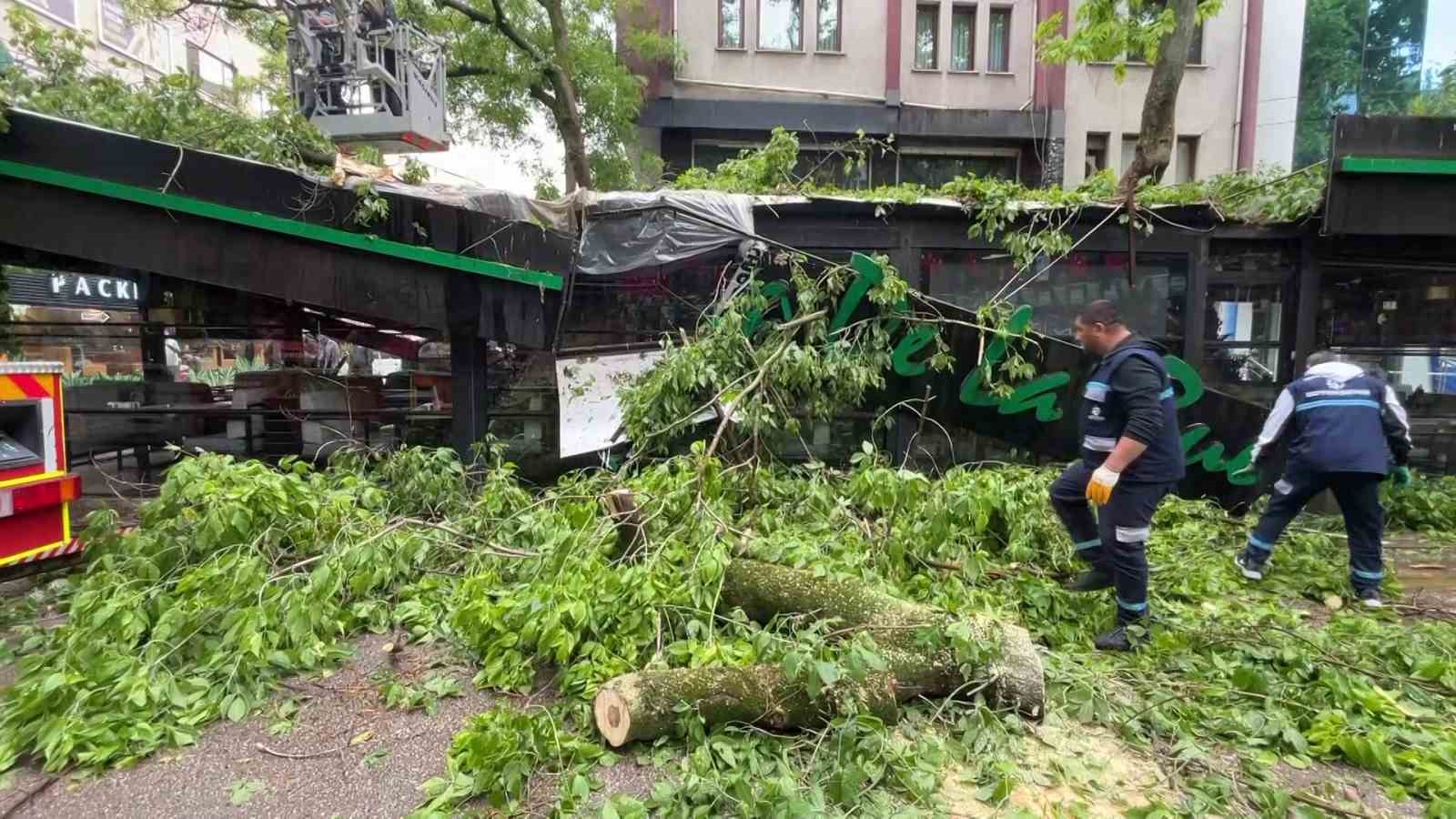 20250518Aw457625 (1)