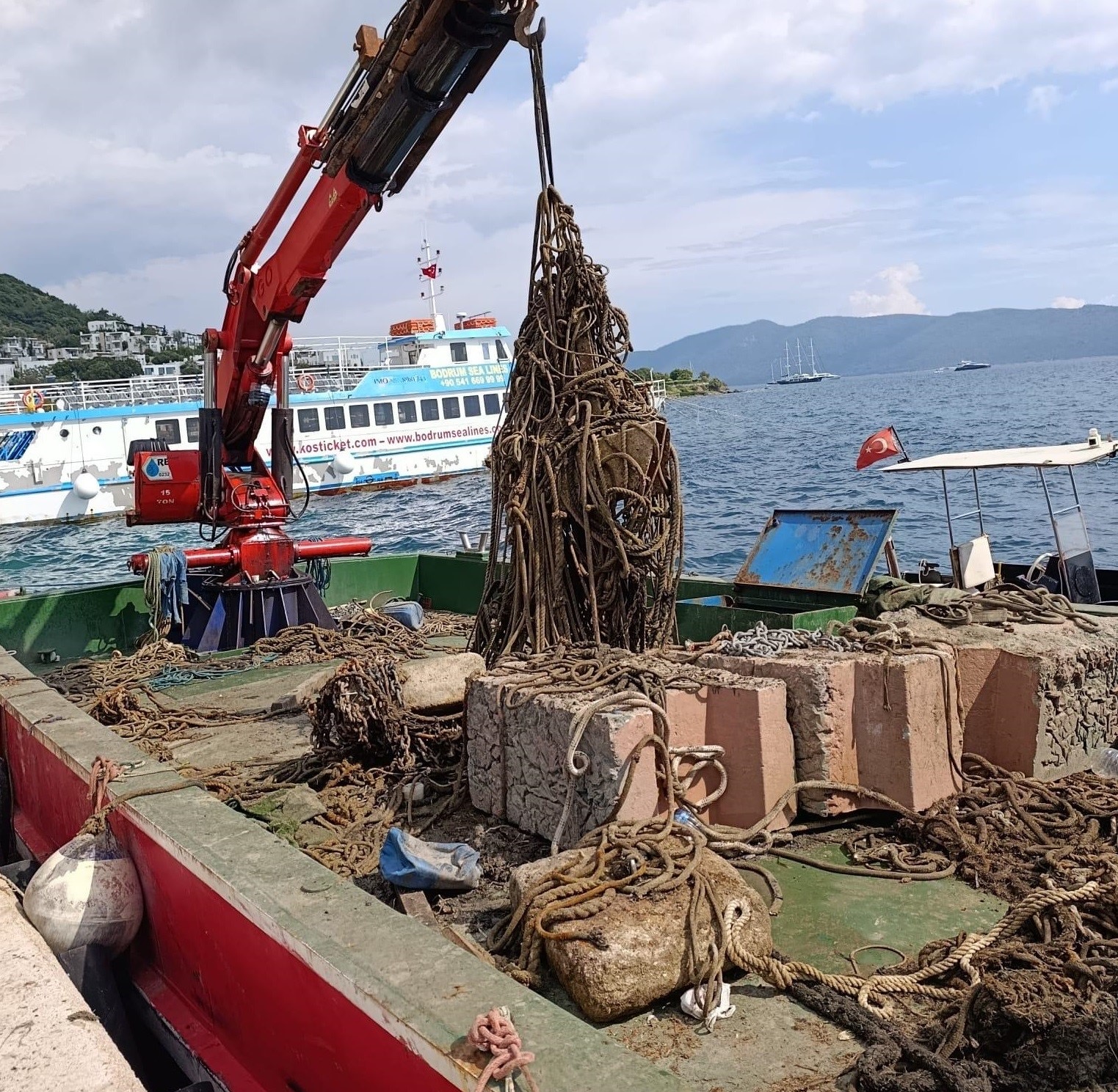 8517E7B4 47F4 4874 9B76 8Cff190Bc59A