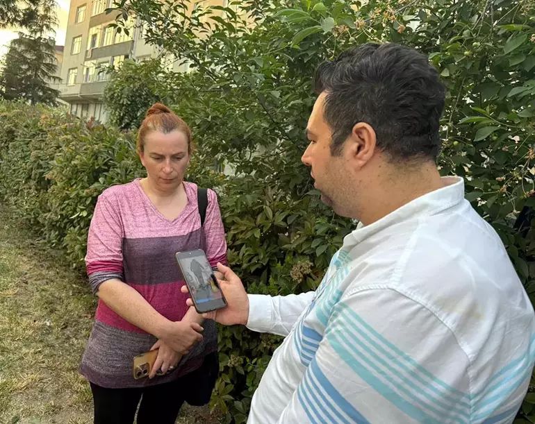 8Badaaec Ebf3 4Da5 B59D 1F58D77Efbfd