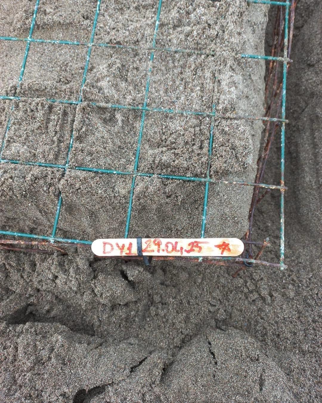 A A 20250501 37816554 37816552 M U G L A D A C A R E T T A C A R E T T A L A R I Z T U Z U S A H I L I N E Y U M U R T A B I R A K M A Y A B A S L A D I