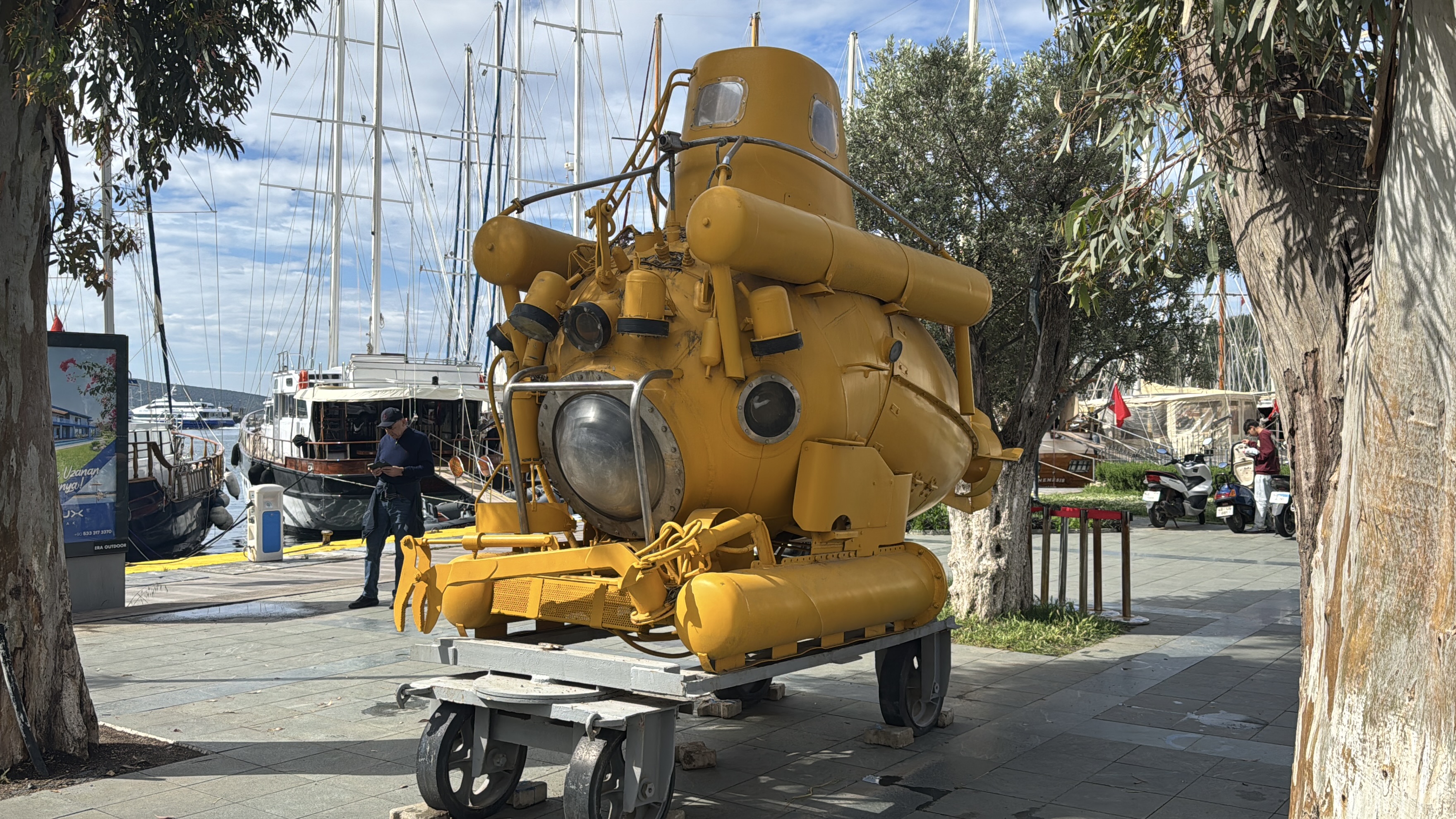 A A 20250502 37823124 37823118 B O D R U M D A D E N I Z M U Z E S I N E V E R I L E N D E N I Z A L T I M E Y D A N D A S E R G I L E N I Y O R