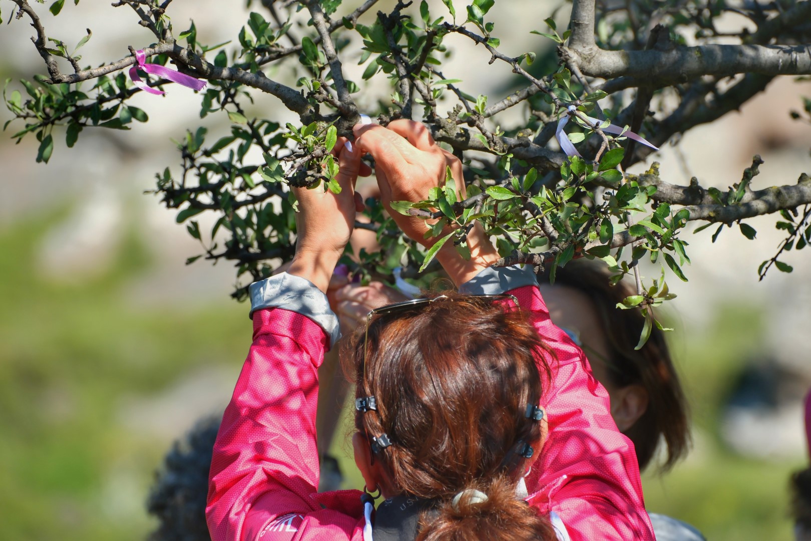 Bodrumbel Kültür Ve Doğa Yürüyüşüyle Birlikte Hıdırellez Kutlandı (3)
