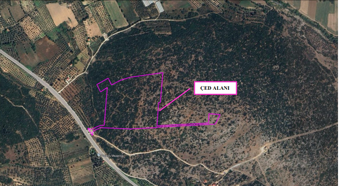 G G E R T H G R T H T