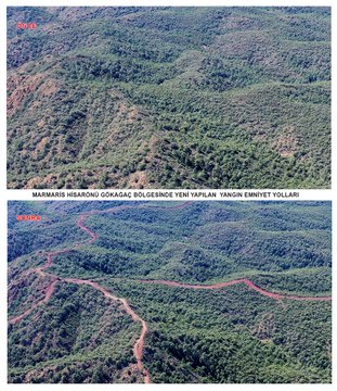 Grz D Opd Xk A Av1J K