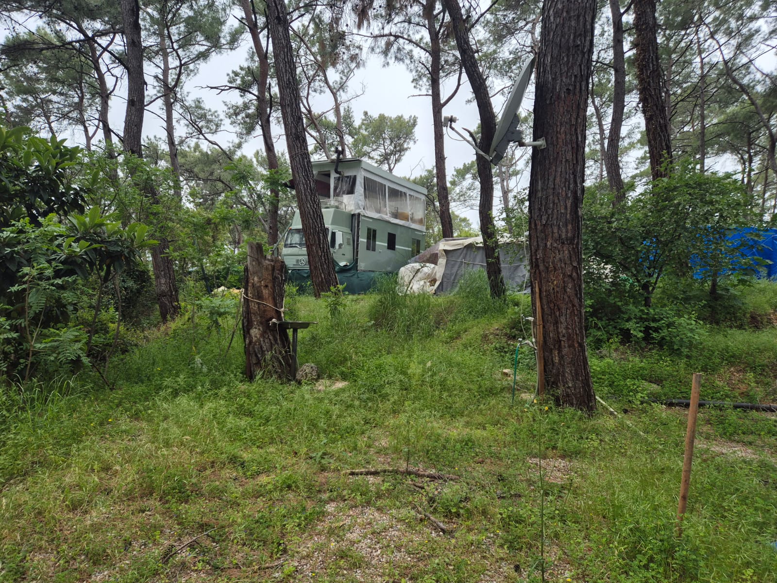 Whatsapp Image 2025 05 05 At 11.28.32