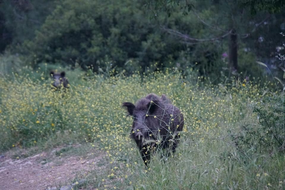 Whatsapp Image 2025 05 06 At 16.18.30