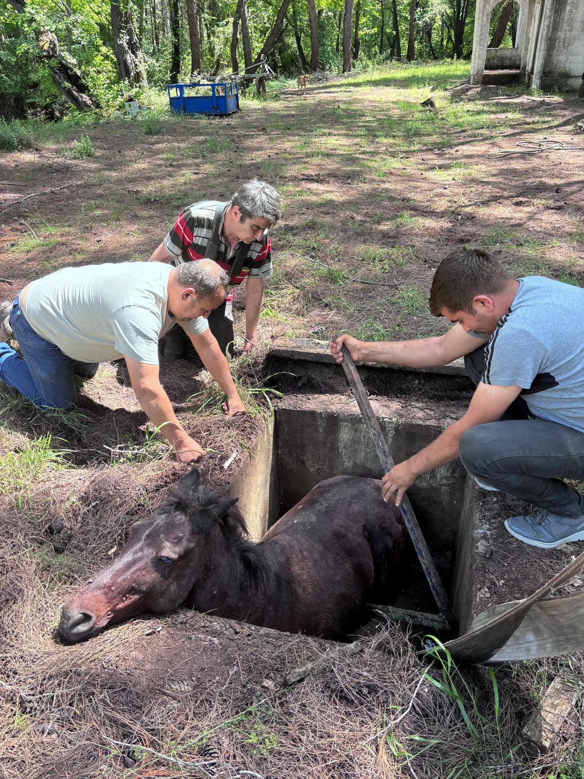 Whatsapp Image 2025 05 07 At 10.29.37