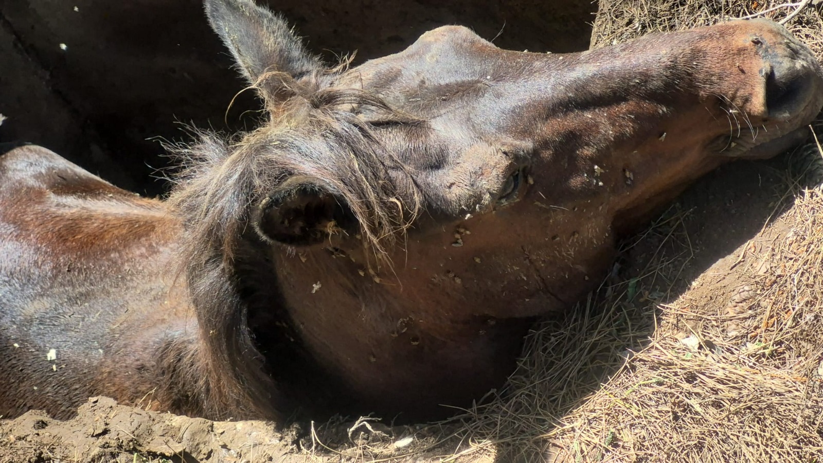 Whatsapp Image 2025 05 07 At 10.29.38