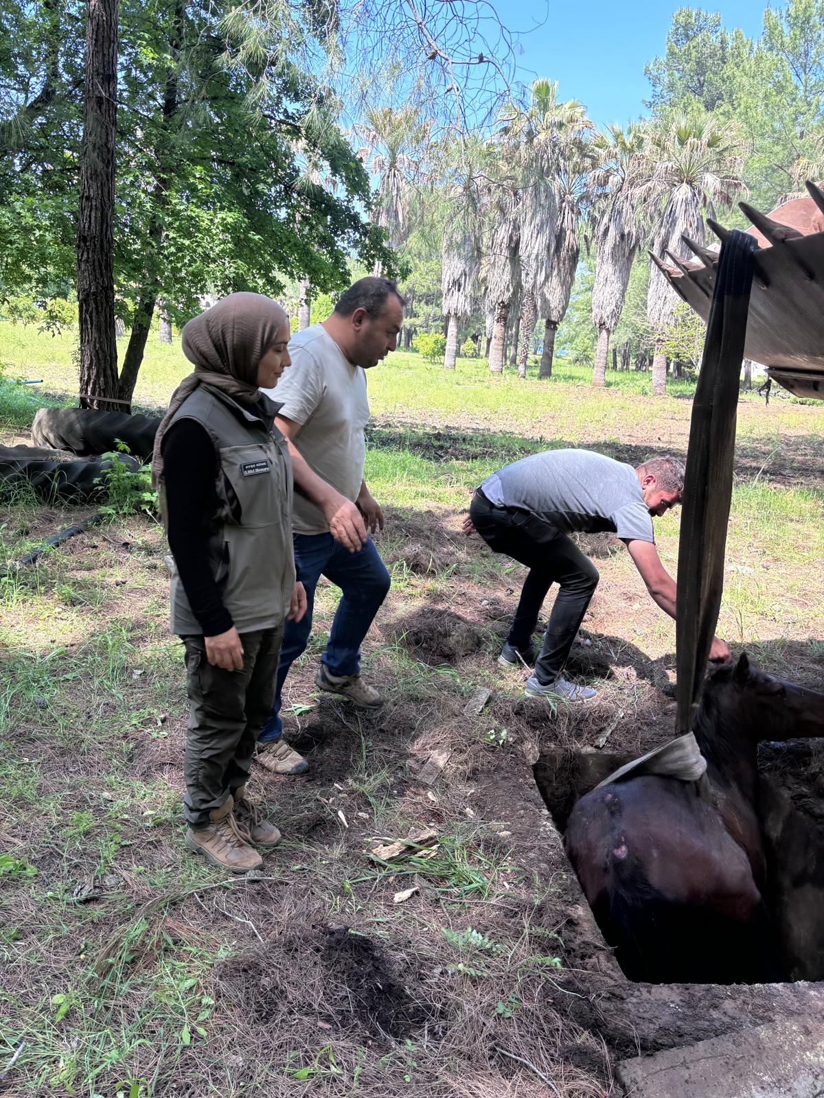 Whatsapp Image 2025 05 07 At 10.29.41