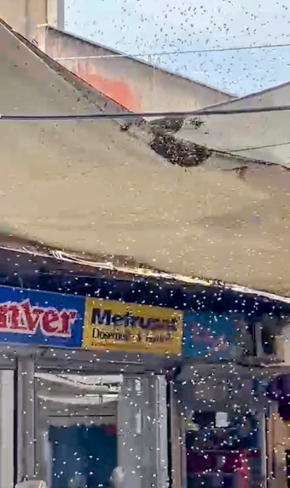 Whatsapp Image 2025 05 07 At 12.25.11