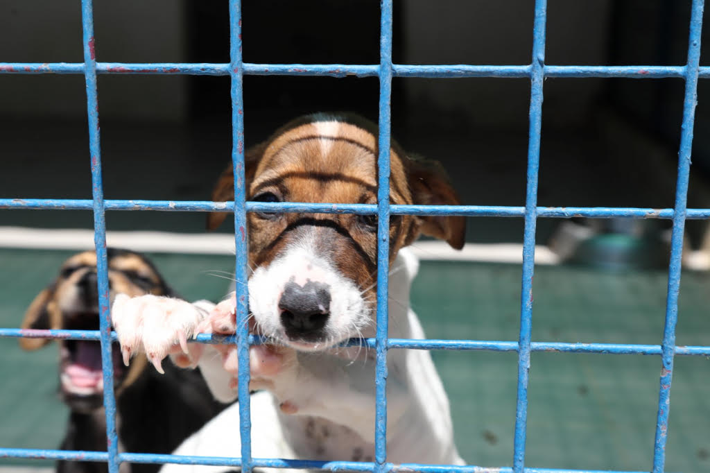 Whatsapp Image 2025 05 09 At 16.42.00 (2)