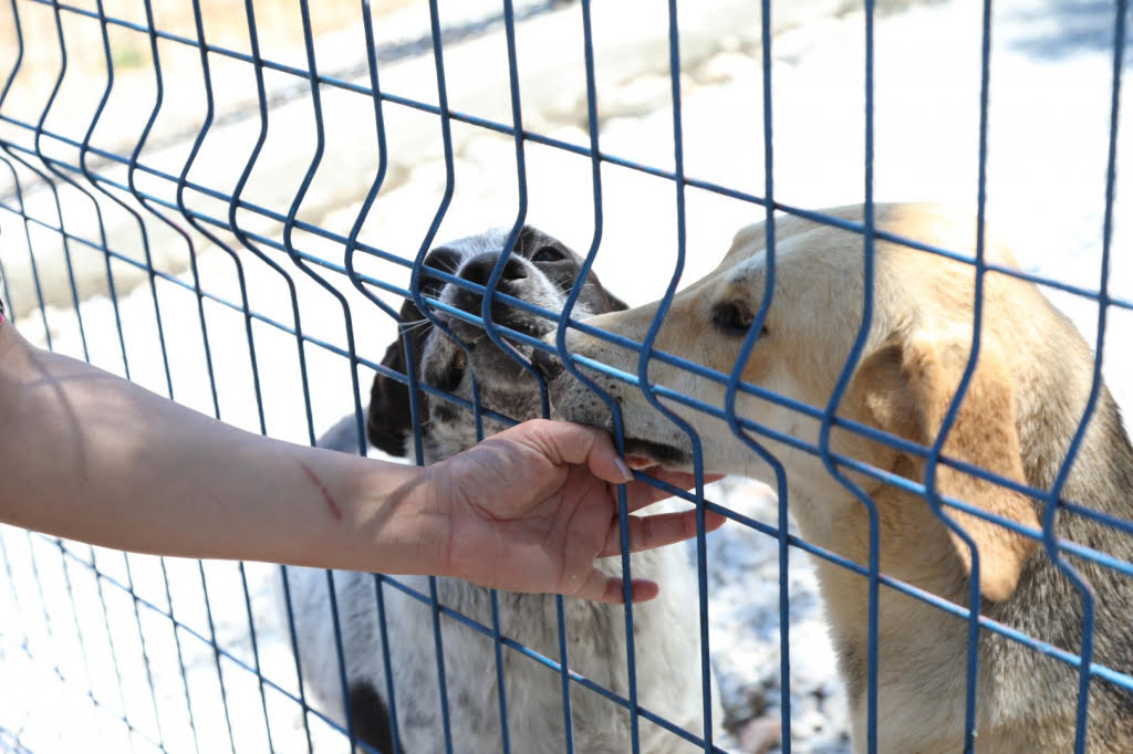 Whatsapp Image 2025 05 09 At 16.42.00