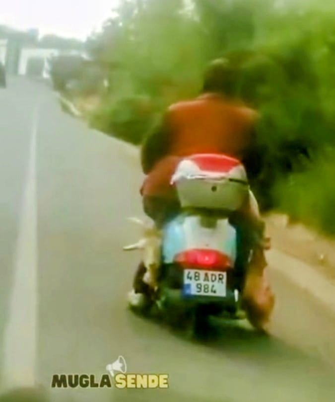 Whatsapp Image 2025 05 11 At 15.56.33