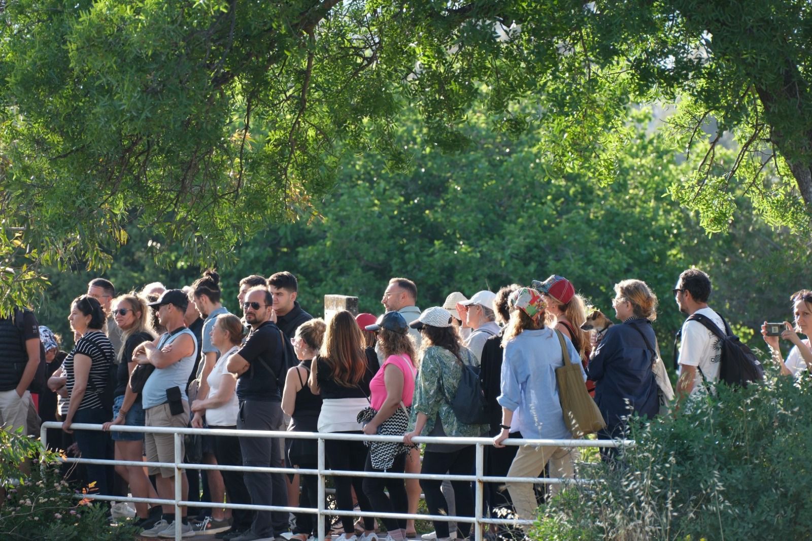 Whatsapp Image 2025 05 12 At 16.55.03