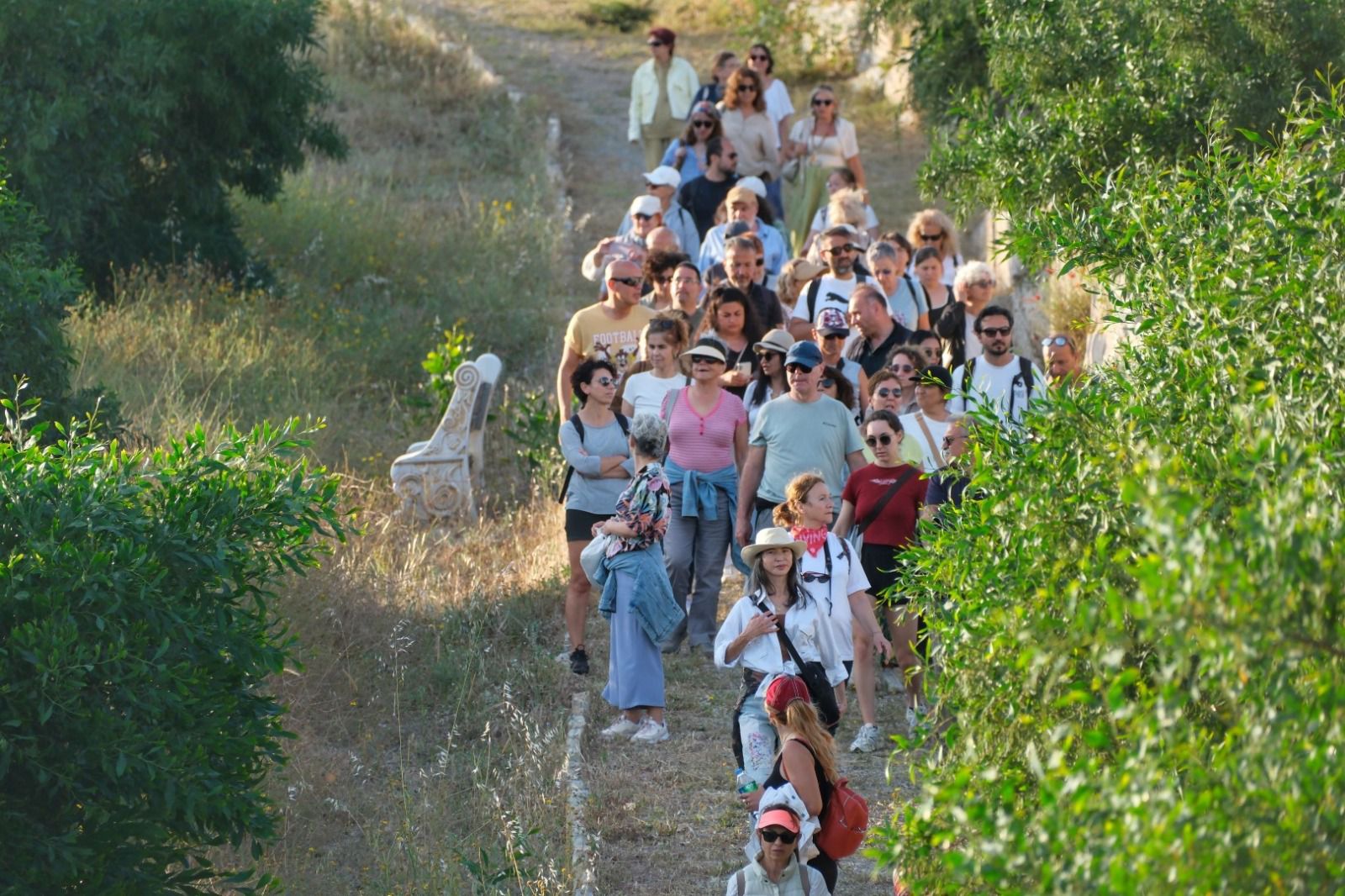 Whatsapp Image 2025 05 12 At 16.55.04-1