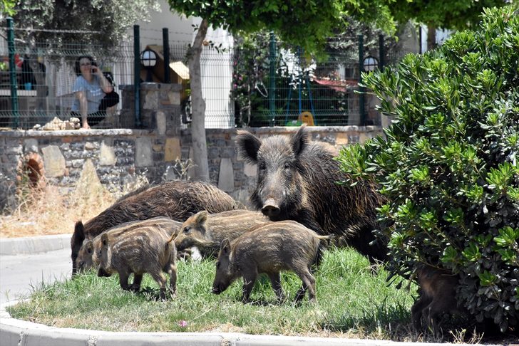 Whatsapp Image 2025 05 13 At 10.40.02