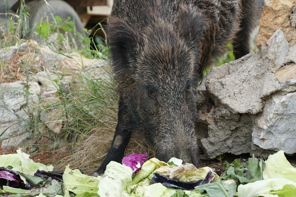 Whatsapp Image 2025 05 13 At 10.40.03