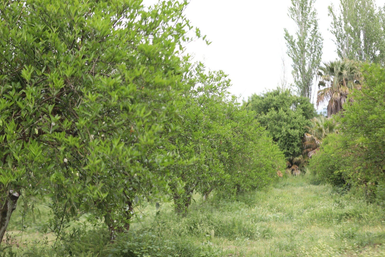 Whatsapp Image 2025 05 13 At 11.14.31 (1)