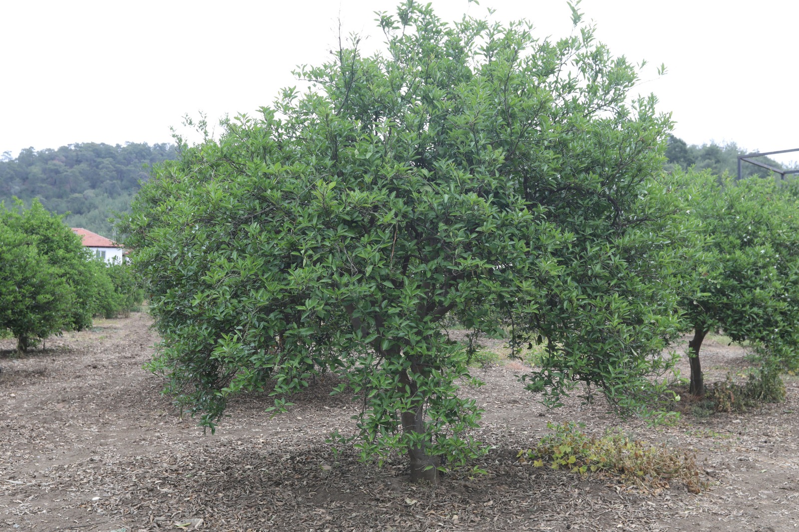 Whatsapp Image 2025 05 13 At 11.14.31