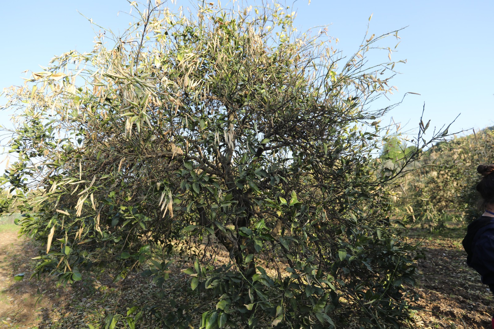 Whatsapp Image 2025 05 13 At 11.14.32 (1)