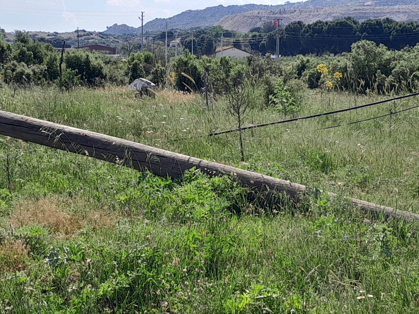 Whatsapp Image 2025 05 14 At 16.40.08 (2)