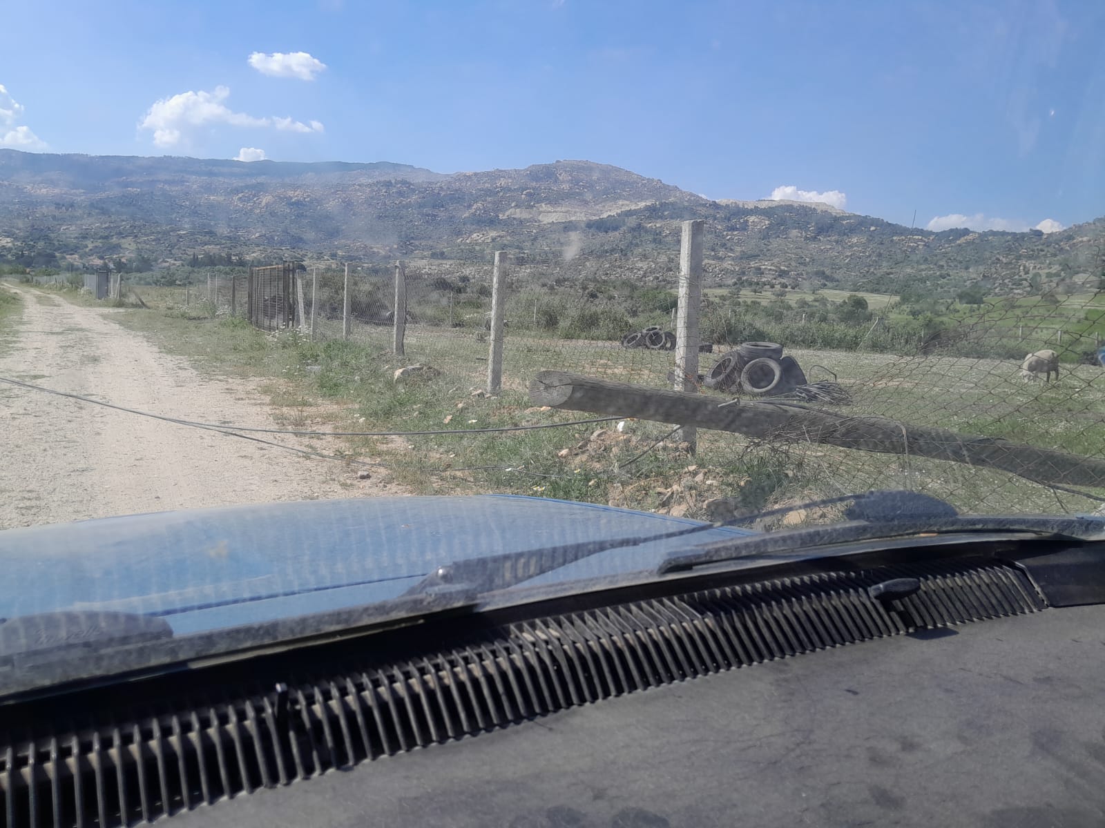 Whatsapp Image 2025 05 14 At 16.40.08