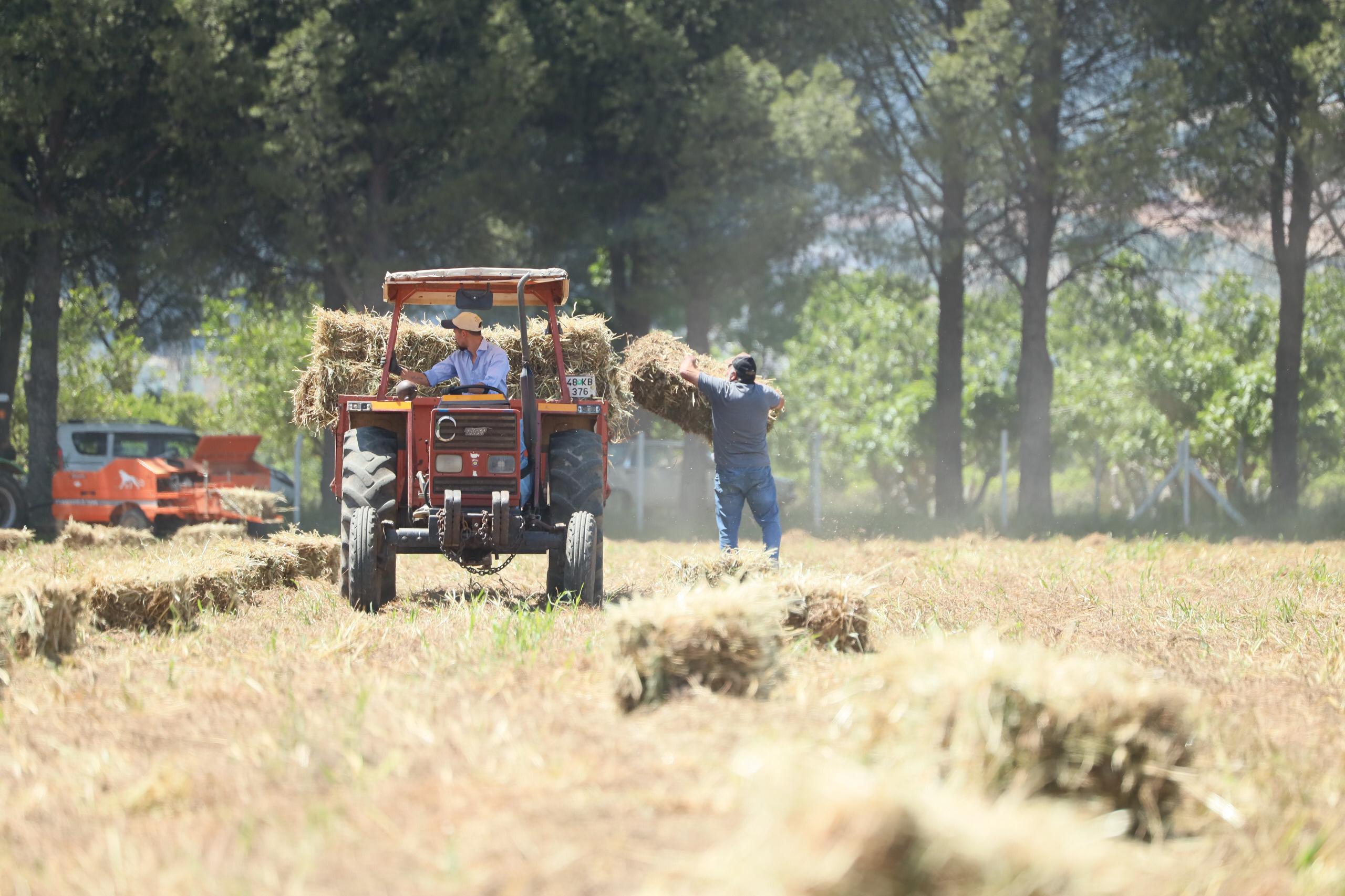 Whatsapp Image 2025 05 16 At 09.44.42 (1)