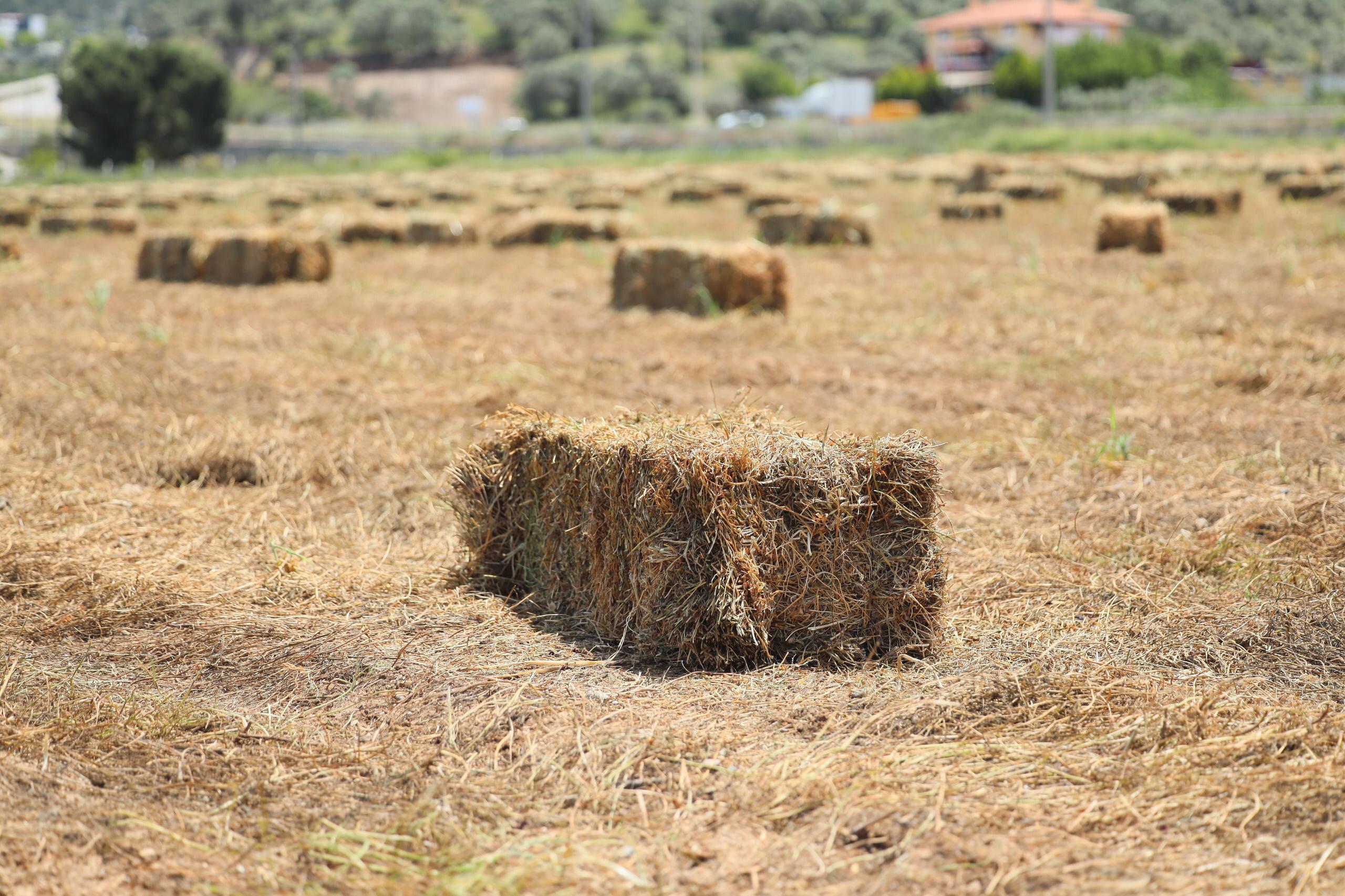 Whatsapp Image 2025 05 16 At 09.44.42