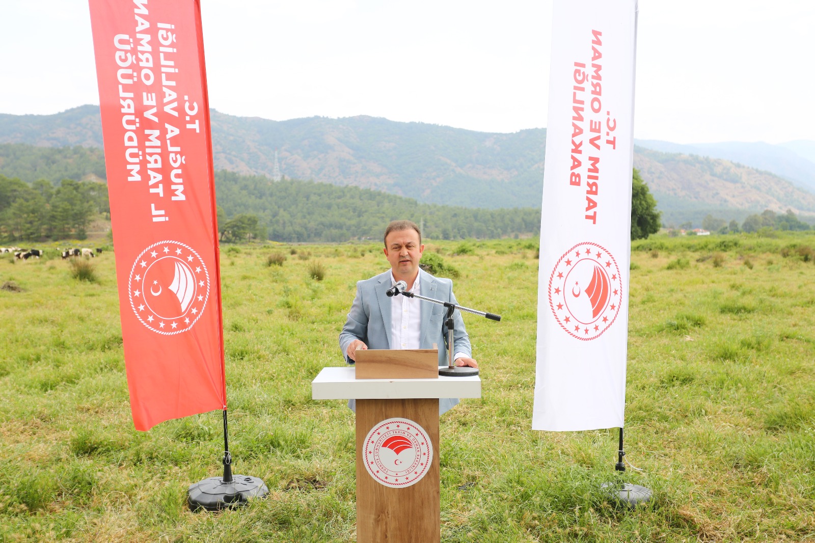 Whatsapp Image 2025 05 16 At 16.01.58 (1)