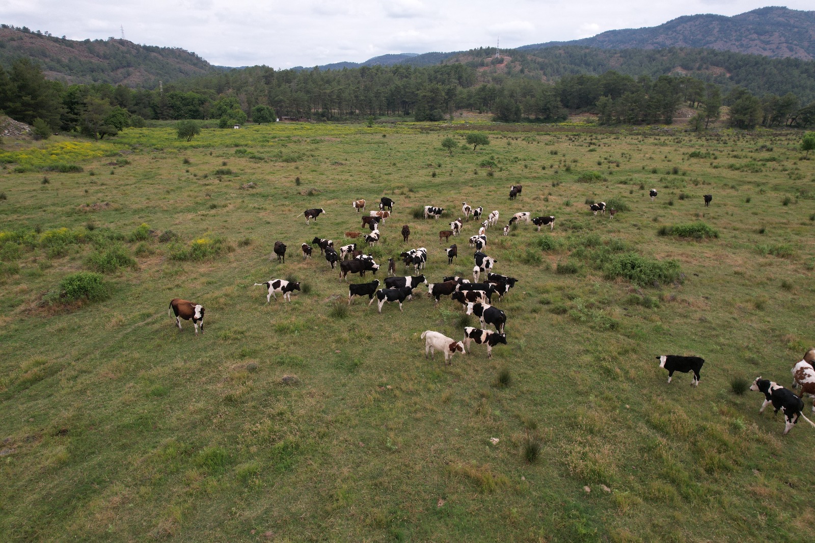 Whatsapp Image 2025 05 16 At 16.01.58 (2)