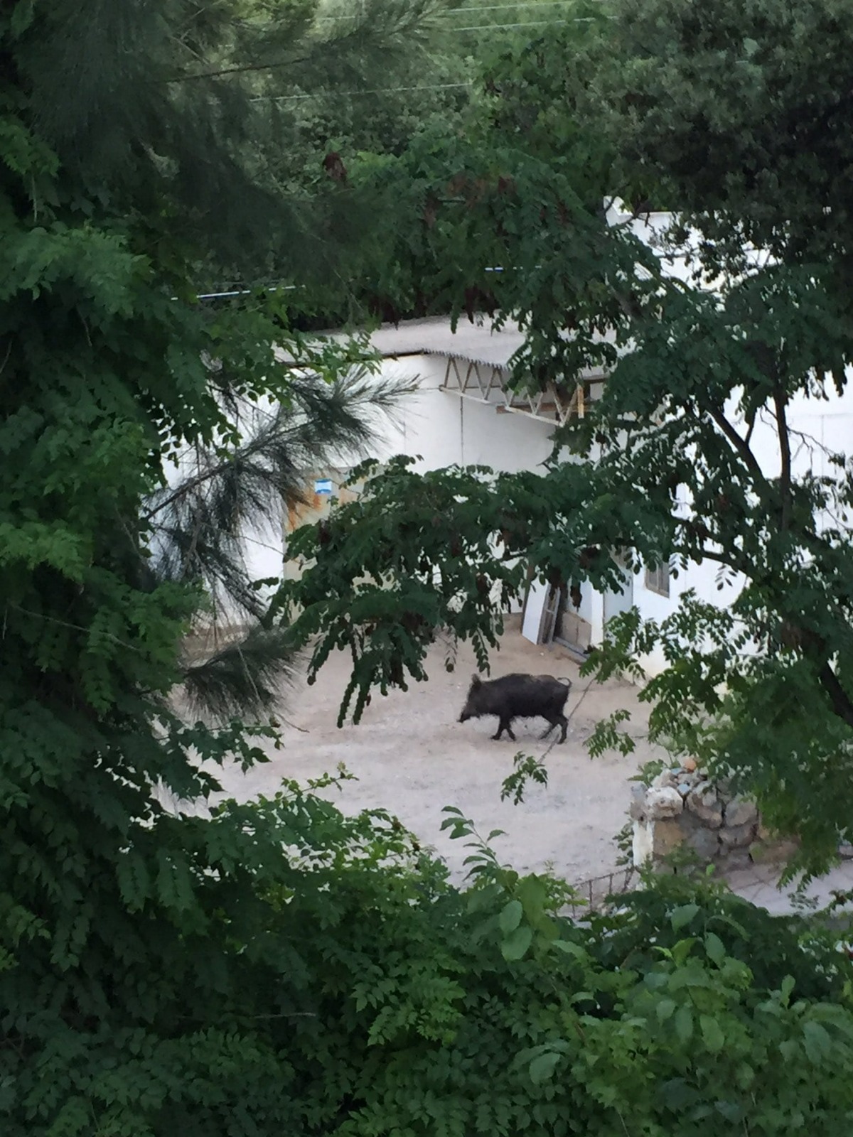 Whatsapp Image 2025 05 20 At 10.47.48 (1)