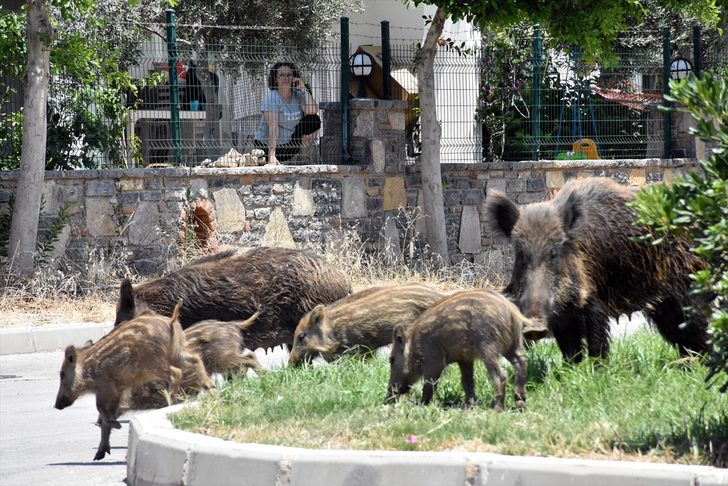 Whatsapp Image 2025 05 20 At 10.47.48