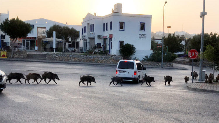 Whatsapp Image 2025 05 20 At 10.47.50