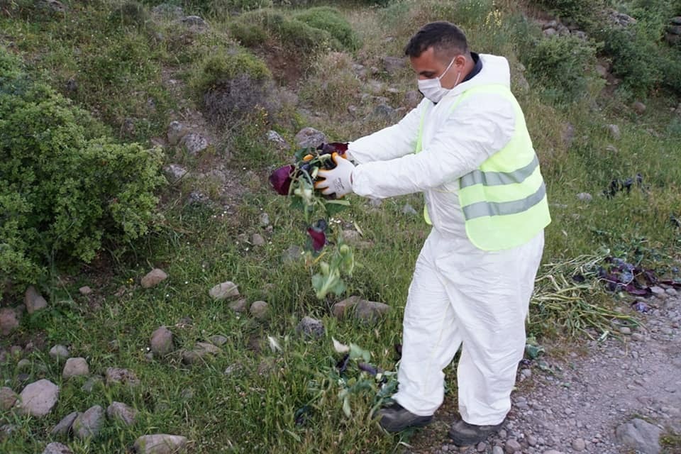 Whatsapp Image 2025 05 20 At 10.47.51