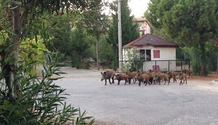 Whatsapp Image 2025 05 20 At 10.47.52