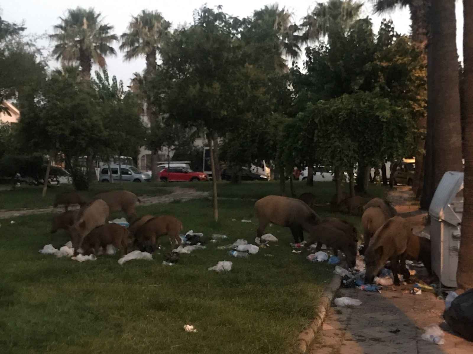 Whatsapp Image 2025 05 20 At 10.47.54 (2)