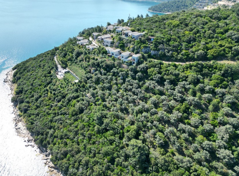 Whatsapp Image 2025 05 20 At 11.45.36