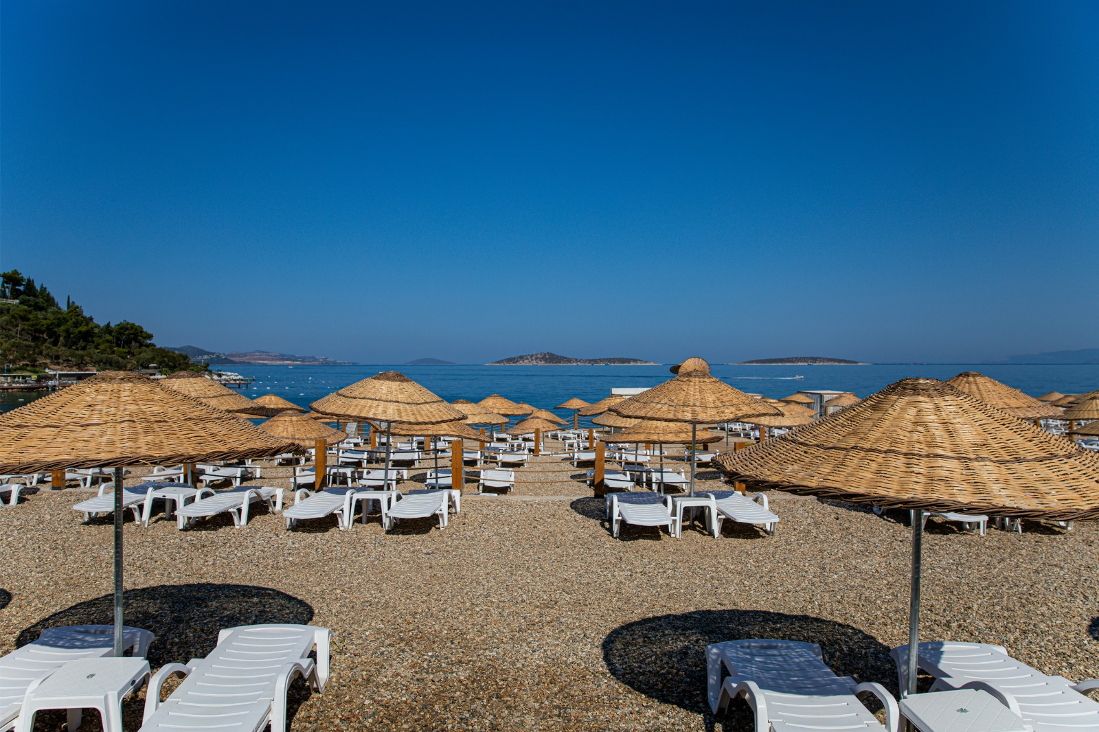 Whatsapp Image 2025 05 20 At 13.04.54-1