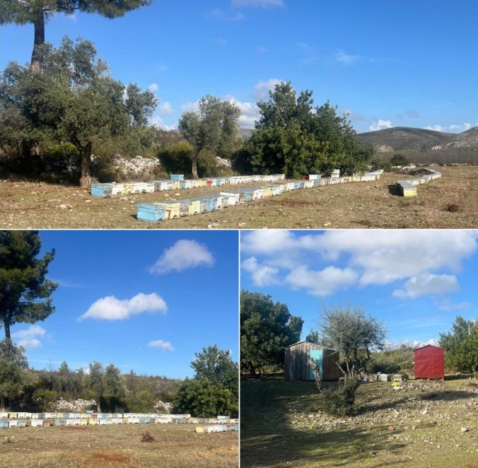 Whatsapp Image 2025 05 23 At 10.09.45