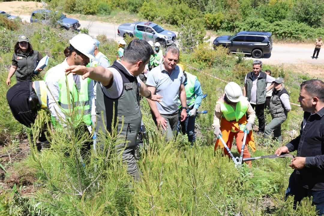 Whatsapp Image 2025 05 24 At 13.47.59