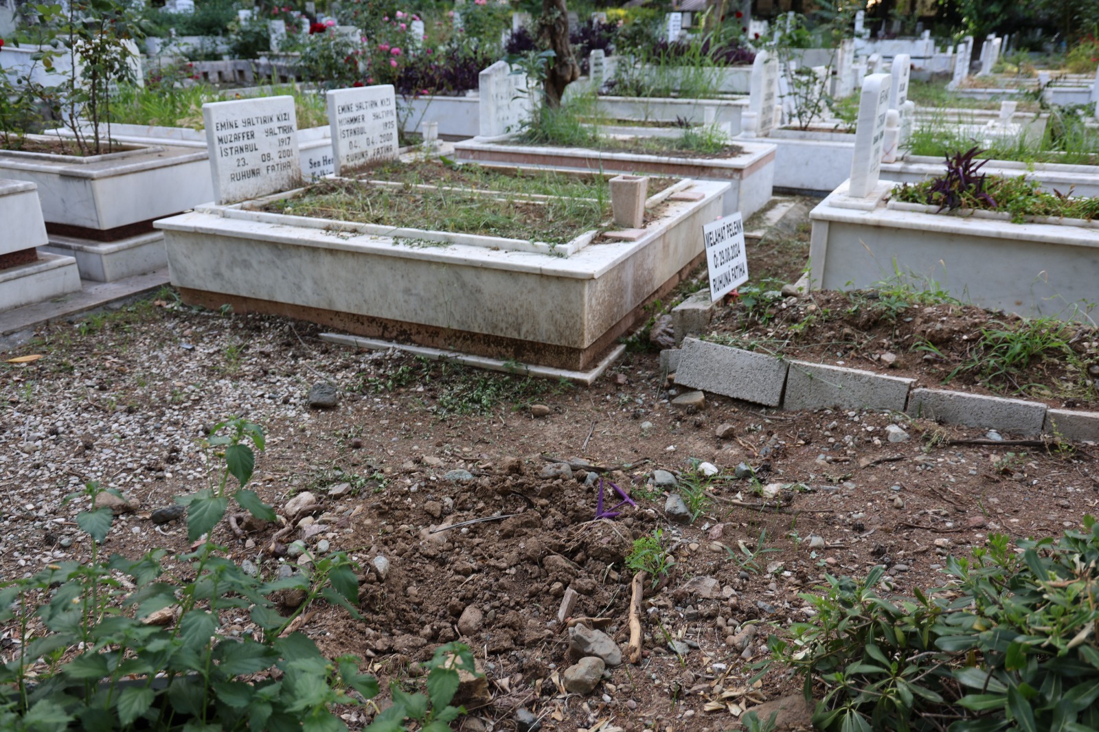 Whatsapp Image 2025 05 27 At 13.18.53