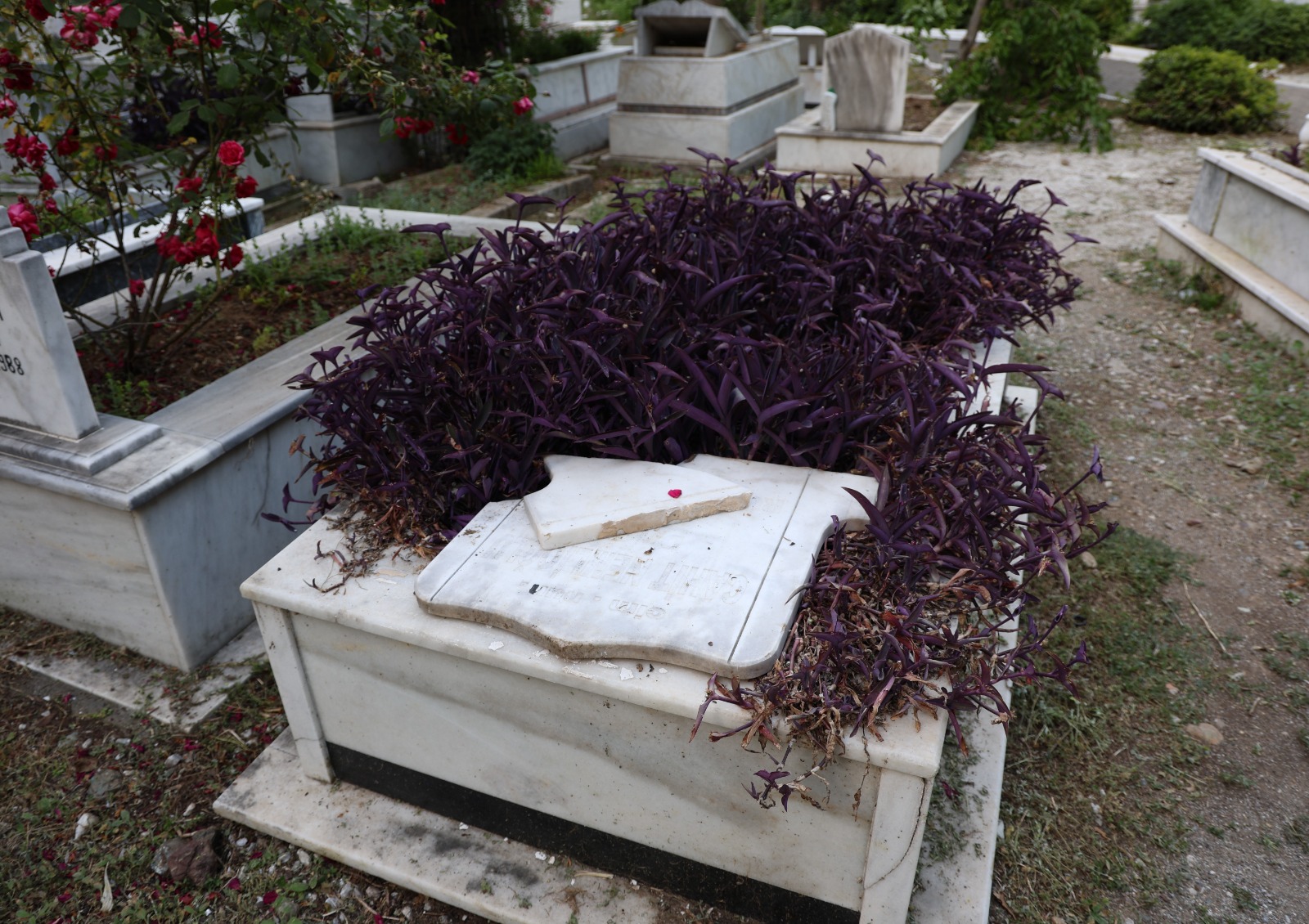 Whatsapp Image 2025 05 27 At 13.19.59