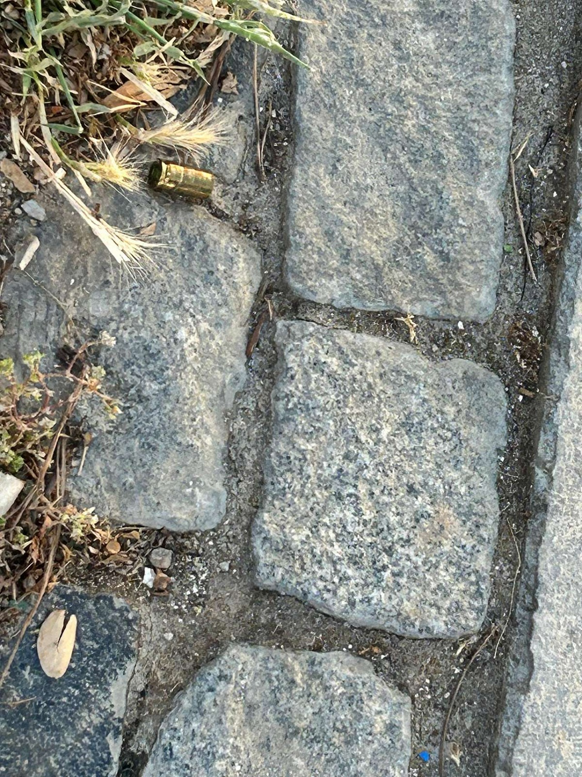 Whatsapp Image 2025 05 28 At 10.57.15