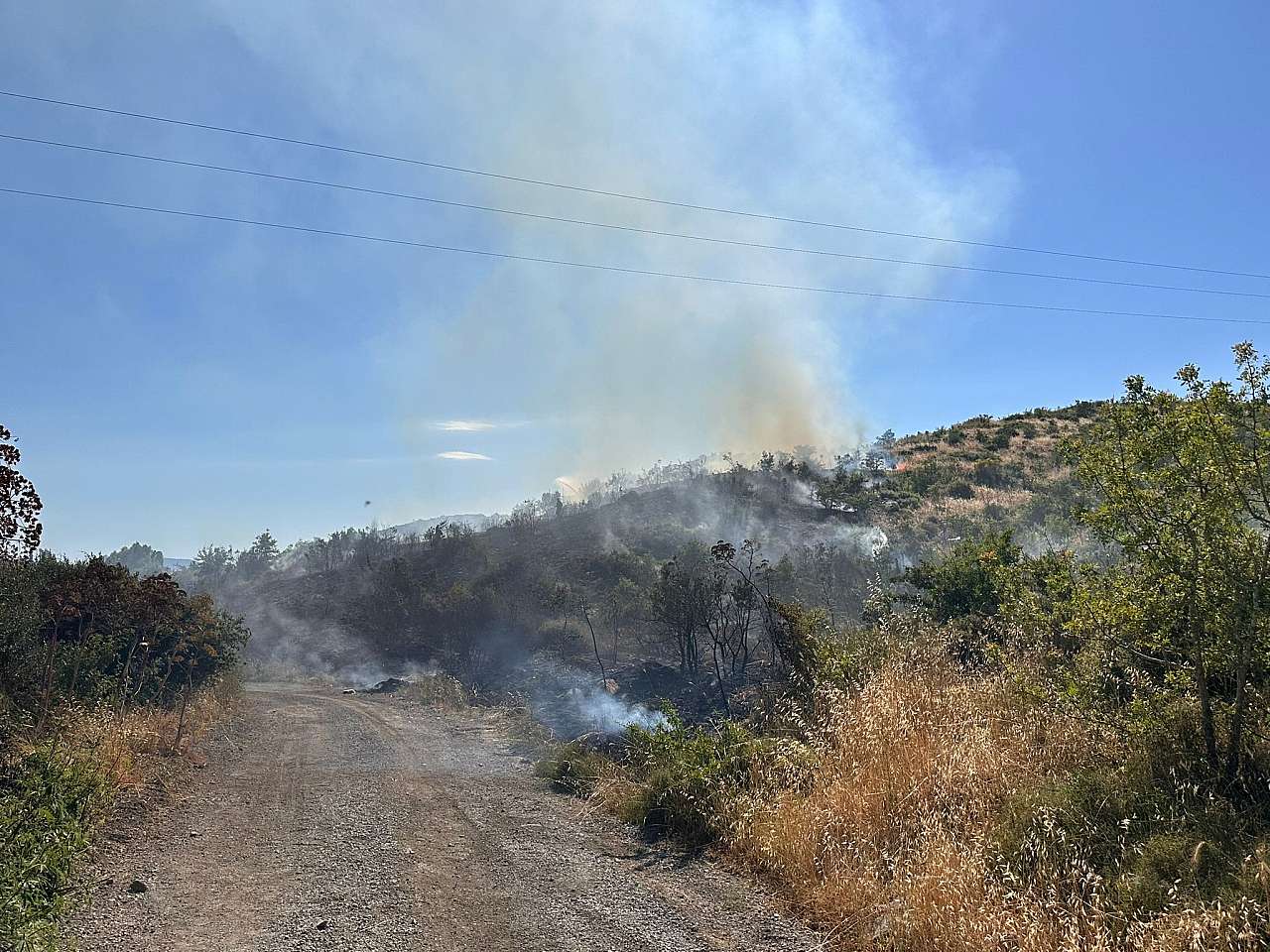 Whatsapp Image 2025 05 28 At 17.33.10