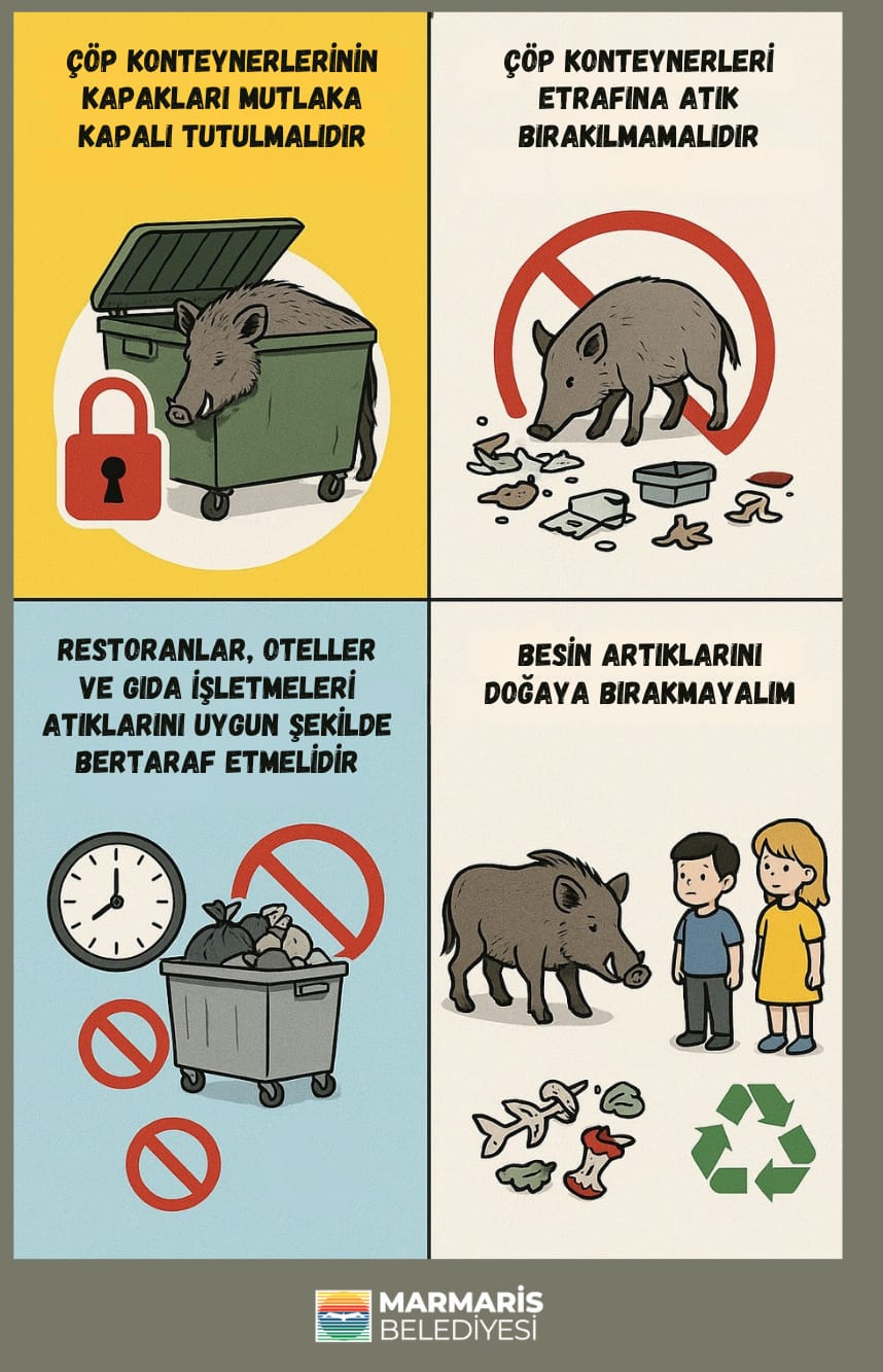 Whatsapp Image 2025 05 29 At 14.58.08 (1)