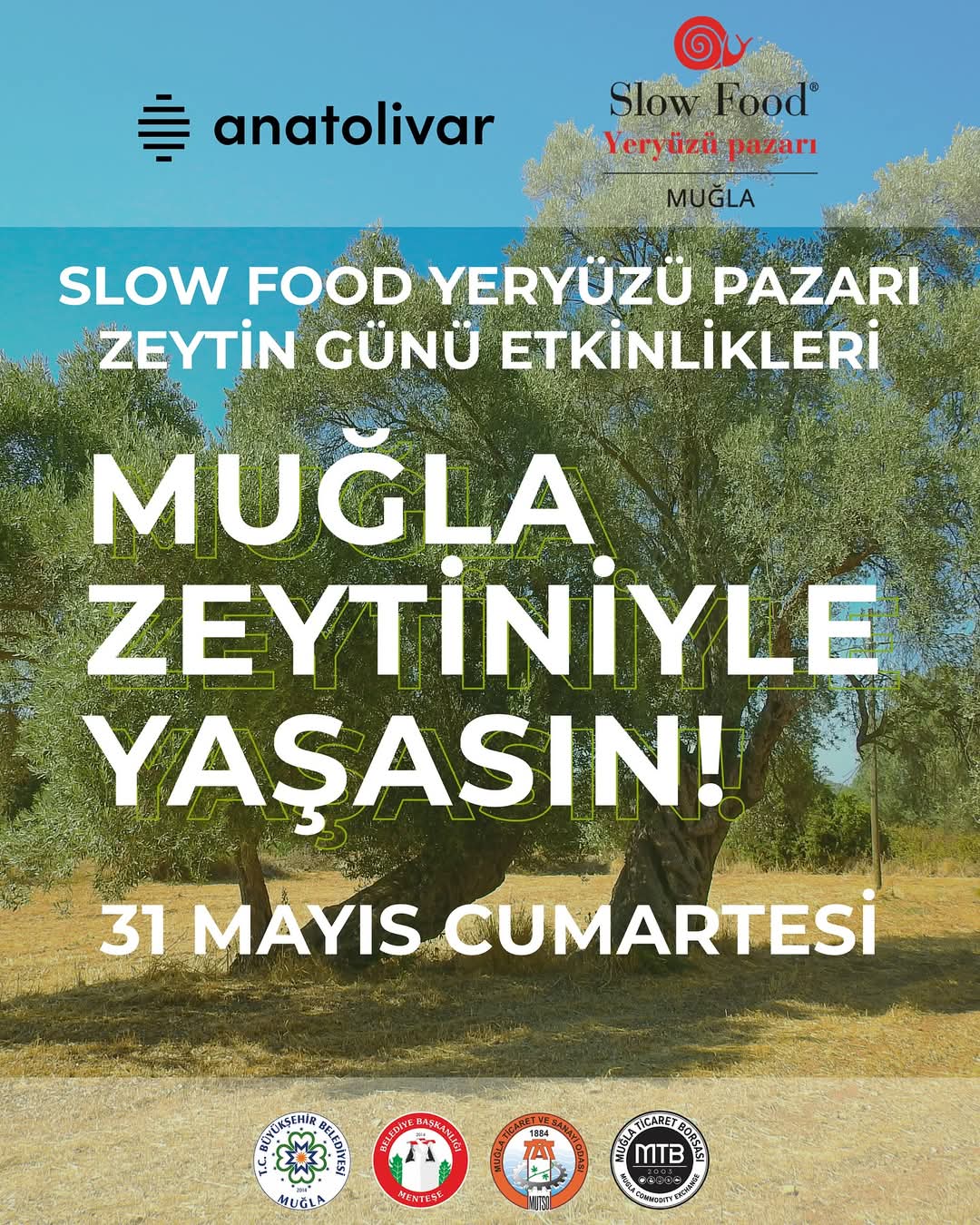 Whatsapp Image 2025 05 29 At 15.03.16