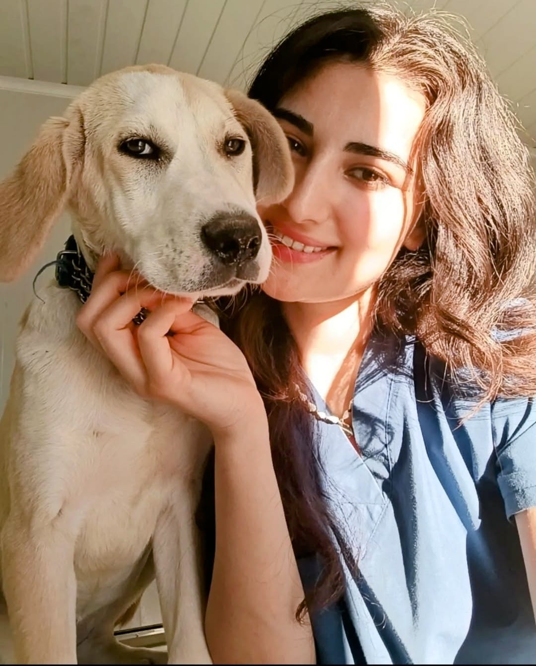 Whatsapp Image 2025 05 31 At 08.53.42