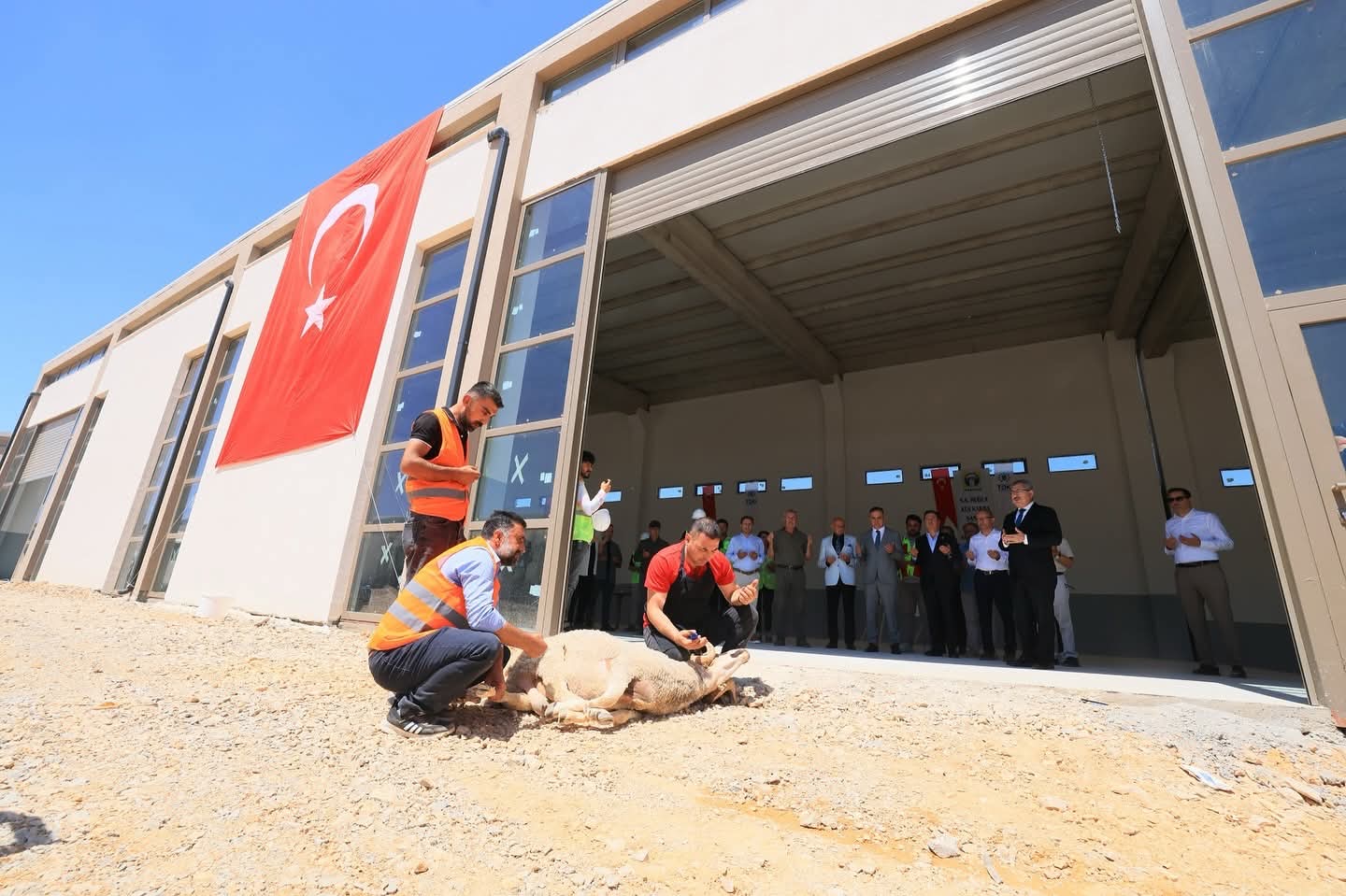 998047D2 8993 49Cb 9A77 48Ce0A778Bc6